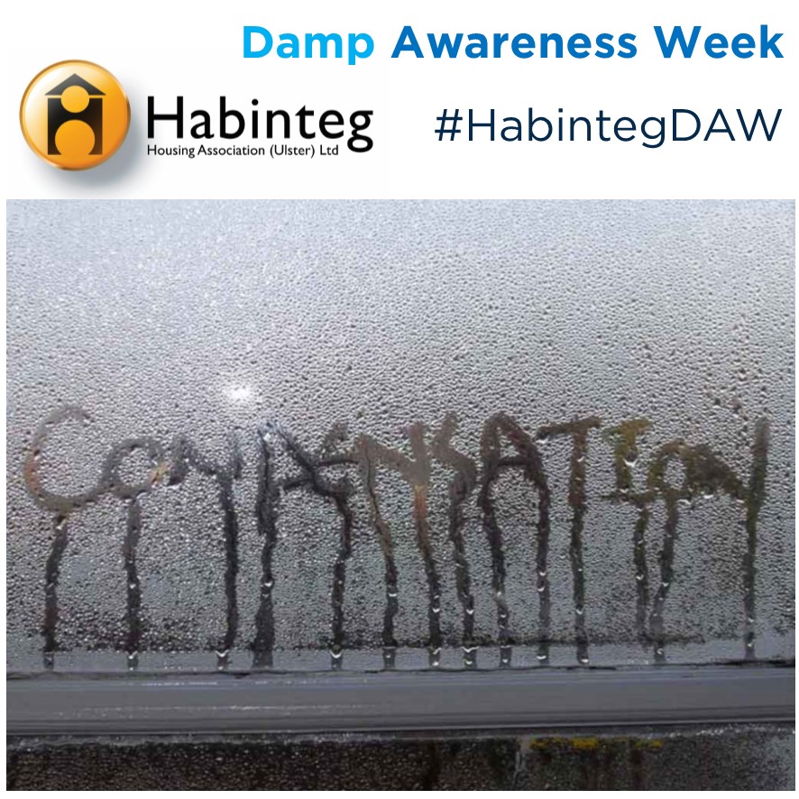 Damp Awareness Week 2021