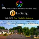 Habinteg winner of Best Disability Initiative at NI Equality and Diversity 